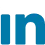 Linked In Icon